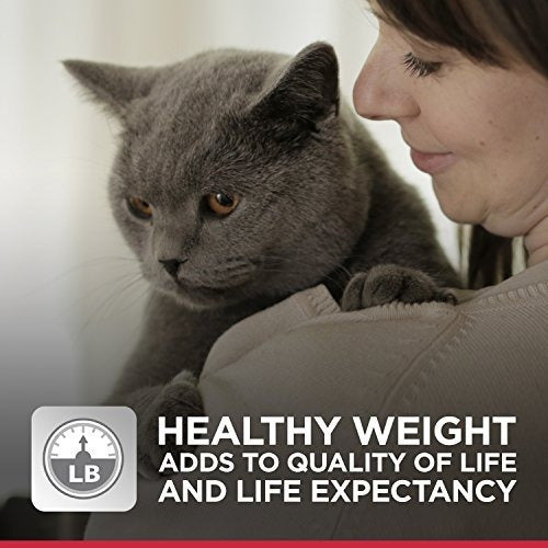 Hill's Science Dieta Adulto Peso Ideal Comida Húmeda Para