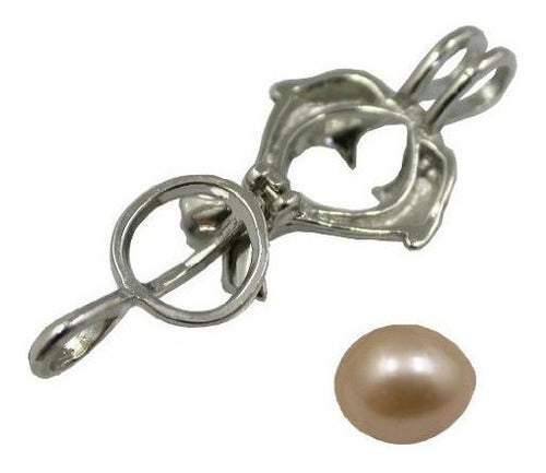 Kit De Collar De Ostras Perla Cultivada De Perla