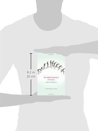 La Mecánica Oculta Del Ejercicio: Moléculas Que Nos Mueven