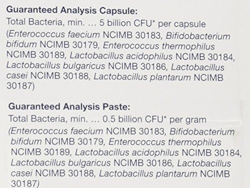 Kit Probióticos para perros, 30 ml