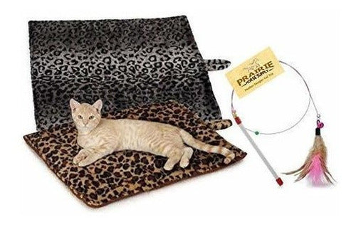 Gato de juguete de gato