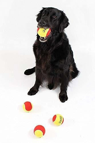 Pelotas De Tenis Grandes De 3 Pulgadas Para Perros