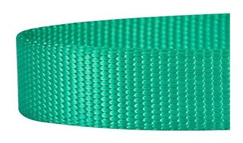 Blueberry Pet 19 Correa Para Perros Clásica Y Duradera De 5