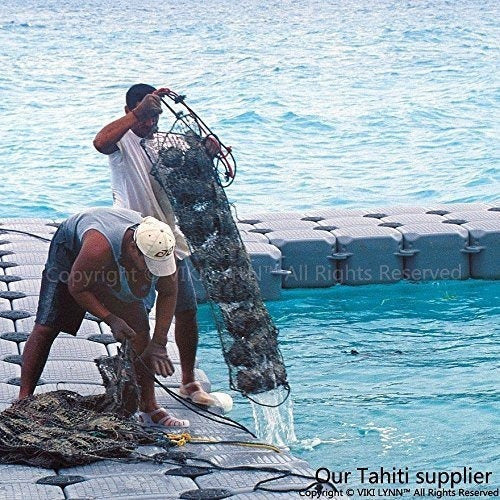 Collar Colgante De Perlas Negras