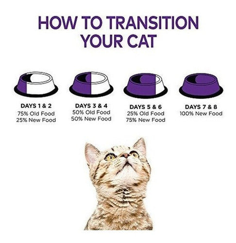 Comida De Gato Enlatada Húmeda De Grano Natural