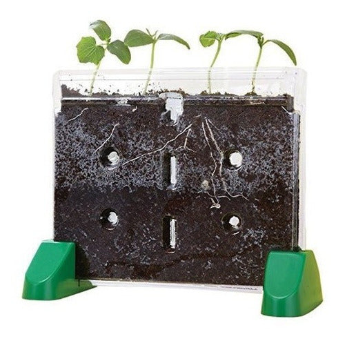 Perspectivas Educativas Sprout and Grow Window