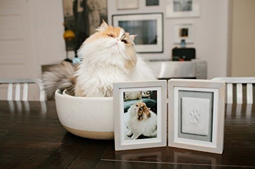 Recuerdo Pearhead Marco De Escritorio De Madera Envejecida