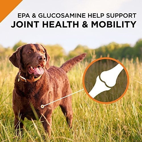 Purina Pro Plan Savor Mezcla Rallada Polvo Y Arroz Fórmula