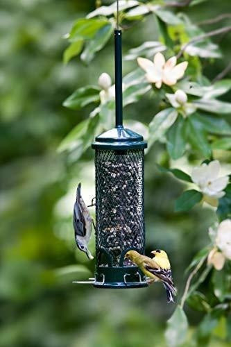 Mini comedero de aves silvestres