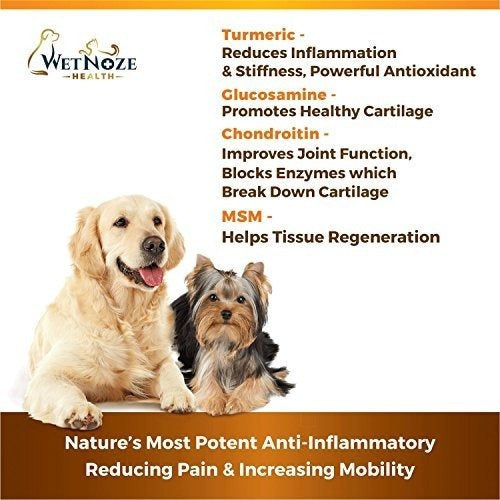 Complejo vitaminico para perros