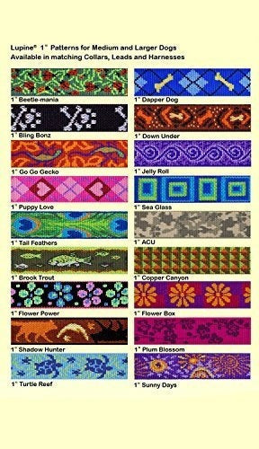 Correa Acolchada para perro