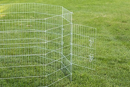 Bolígrafo De Ejercicio Para Perros