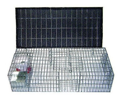 Bird B Gone Pigeon Tramp Con Contenedores De Sombra