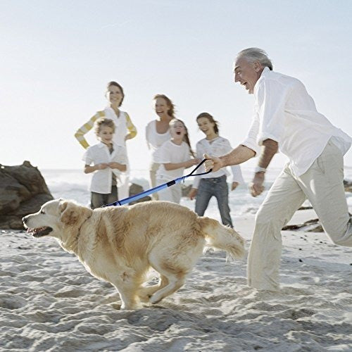 Correa Corta Para Perros De Petbaba, Cable Ajustable De 2