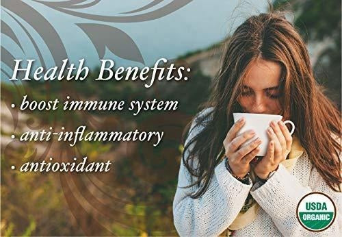 Bolsas de Té Chaga: Poderosos Antioxidantes