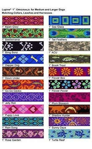 Correa Para Collar De perro