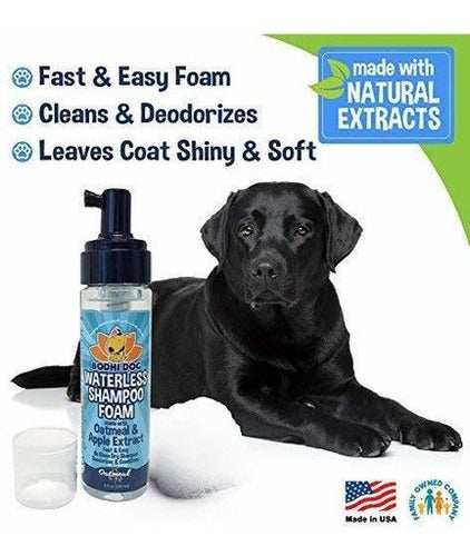 Avena Champú Seco Sin Enjuague Espuma Limpiador Mousse