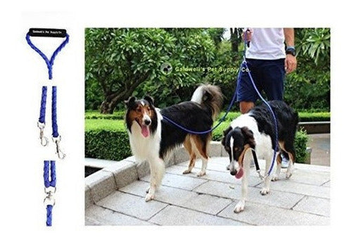 Correa De Perro Doble Azul Para Dos Perros - Azul -