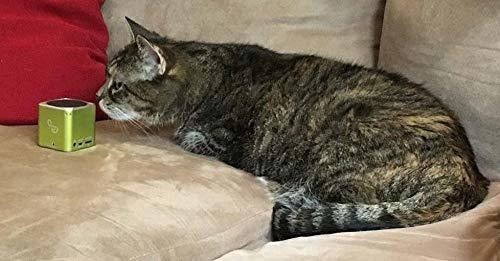 Pet Acoustics Pet Tunes Altavoz Bluetooth Precargado