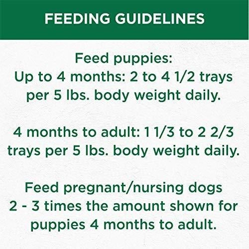 Alimento para Perros Carne De Res Y Vegetales Se