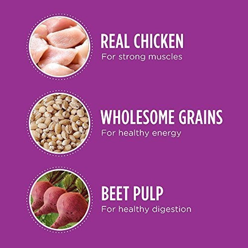 Iams Proactive Health Alimento Para Perros Seco Y Maduro