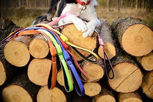 Correa Led Para Perros - Usb Recargable