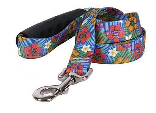 Diseño De Perro Amarillo Correa De perro