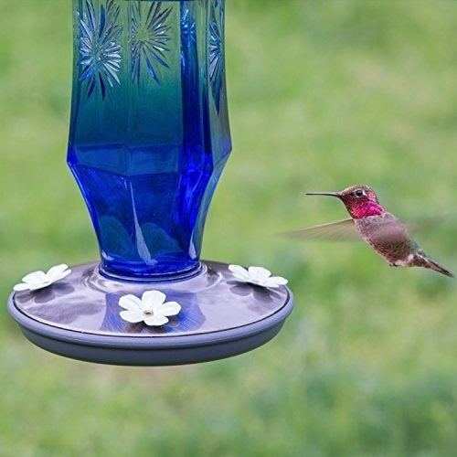 Alimentador de colibrí de cristal vintage con zafiro