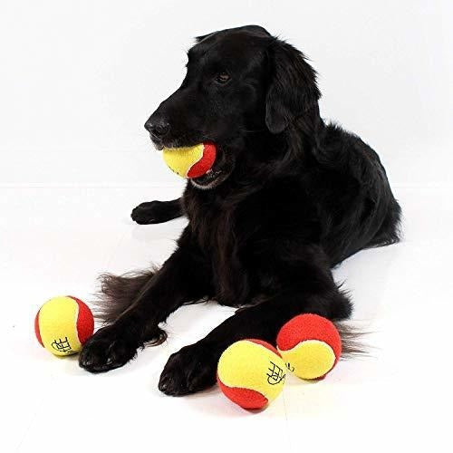 Pelotas De Tenis Grandes De 3 Pulgadas Para Perros