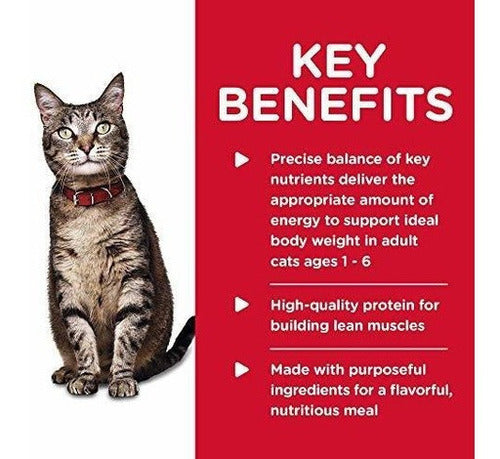 Dieta de la ciencia de la colina Comida Húmeda Para Gatos