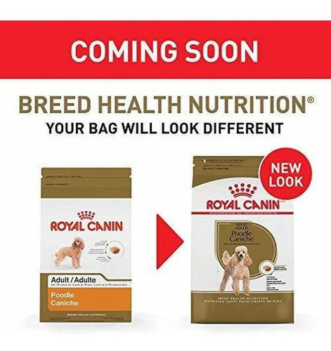 Royal Canin Raza Salud Nutrición Caniche Adulto Pienso Seco