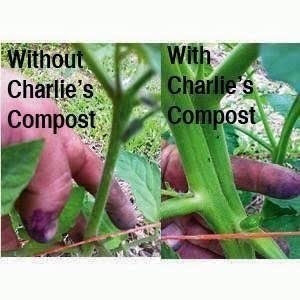 Compost De Charlie 10 Lb