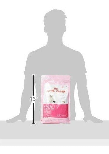 Royal Canin Feline Health Nutrition Alimentos Secos Para