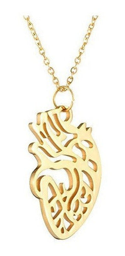 Collar De Anatomía Humana