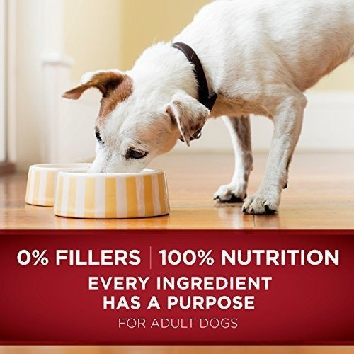 Purina True Instinct Tender Cortes En Salsa