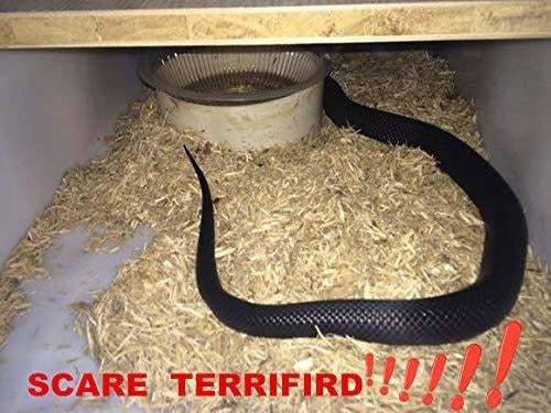 Serpientes Realistas de Caucho