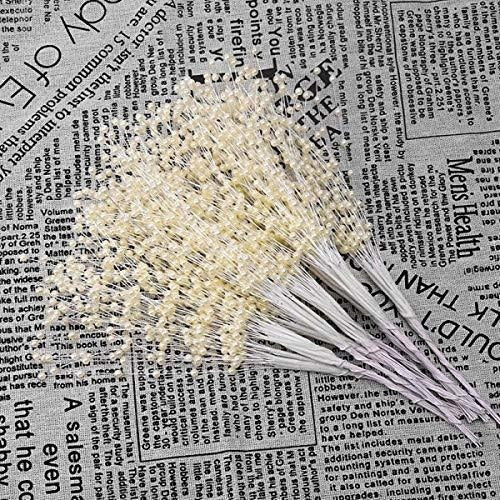 perlas guirnalda de cadena rollo abalorio