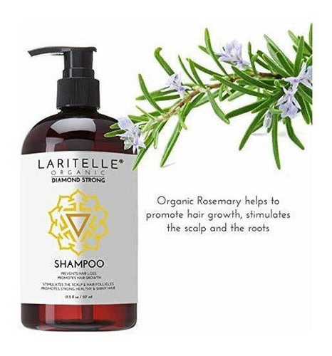 Shampoo 17.5 Oz Aceite De Argán, Jengibre