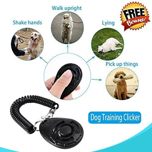 Correas Para Perros Para Perros Medianos Y Grandes