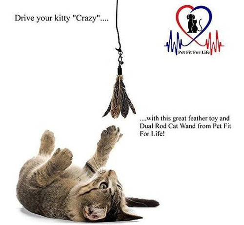 Pet Fit For Life 2 Teaser Y Ejercitador De Plumas Para Gatos
