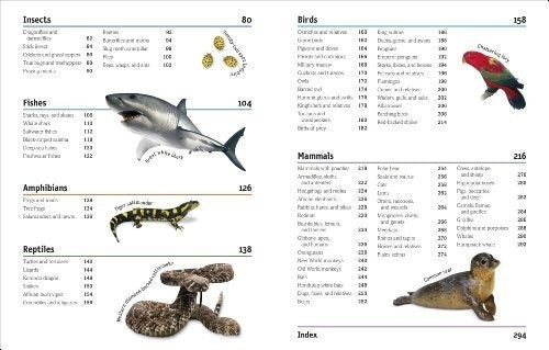 El Libro De Animales Una Enciclopedia Visual De La Vida