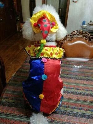 Disfraz De Payaso De Perro