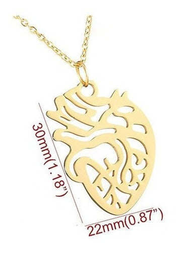 Collar De Anatomía Humana