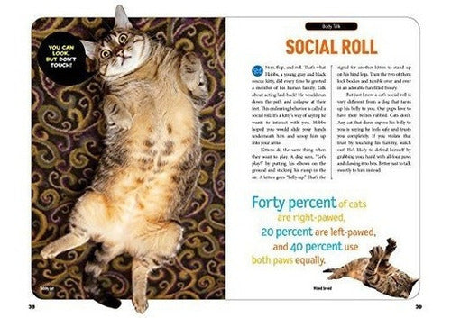 Cómo Hablar Gato Una Guía Para Decodificar El Lenguaje