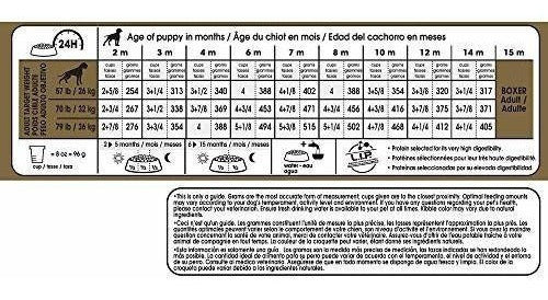 Cachorro Alimento Seco