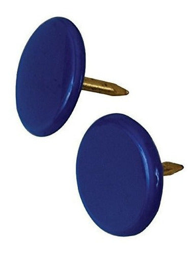 Chinchetas, Paquete De 40