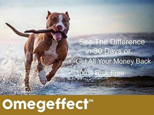 Aceite De Pescado 100% Puro Omega 3 Para Perros: Geles