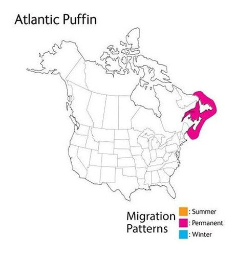 Audubon Birds Atlantic Puffin Plush Con