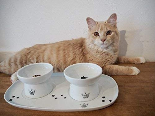 Bandeja Comedor doble para gatos