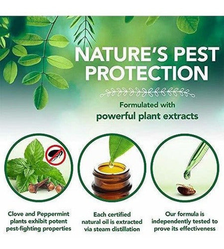 El Mejor Veterinario Para Pulgas Y Garrapatas Y El Aerosol